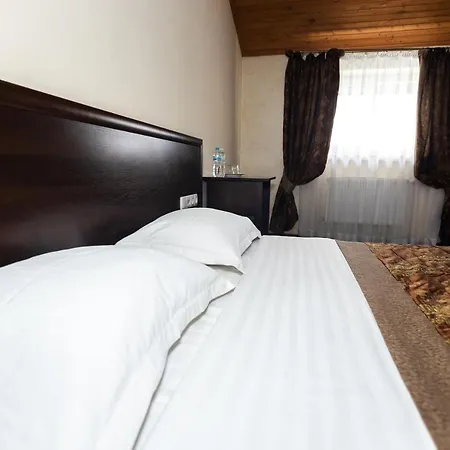 скіфія Hotel 3*